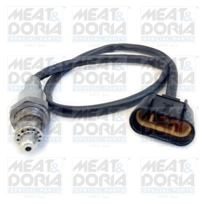 Oxygen Sensor